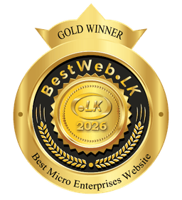 Best Micro Enterprises Website — Gold Winner, BestWeb.lk 2026, awarded to zonova.lk